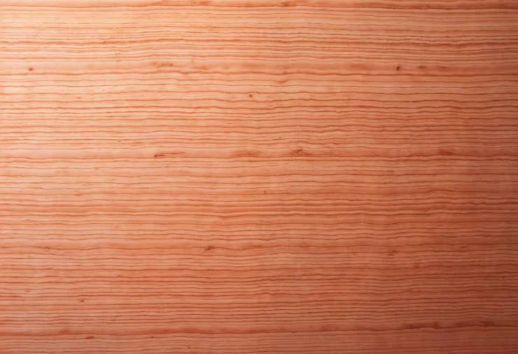 sapele wood grain example